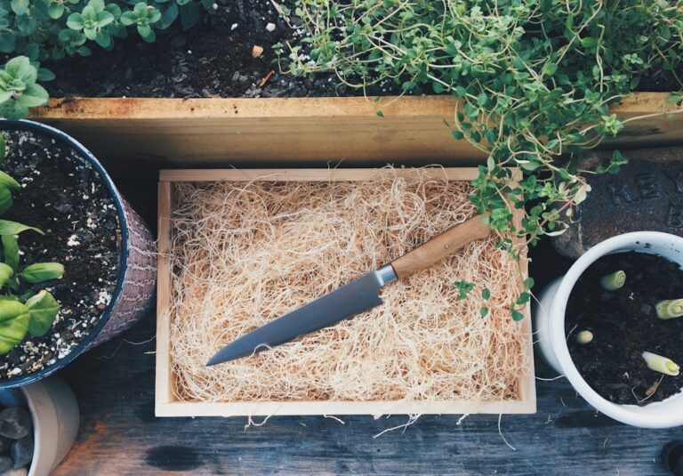 Photo Sharp knife